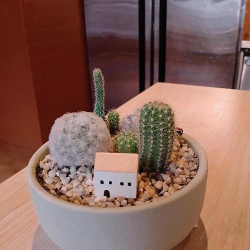 สมาชิกหมายเลข 7155363