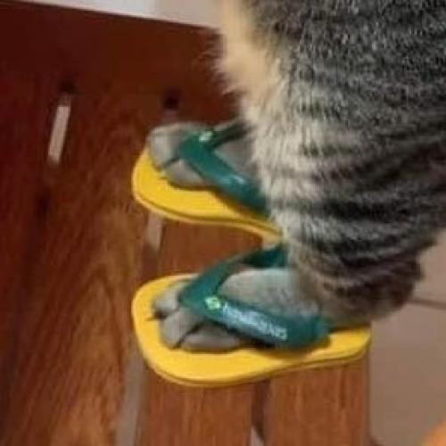 สมาชิกหมายเลข 7167051