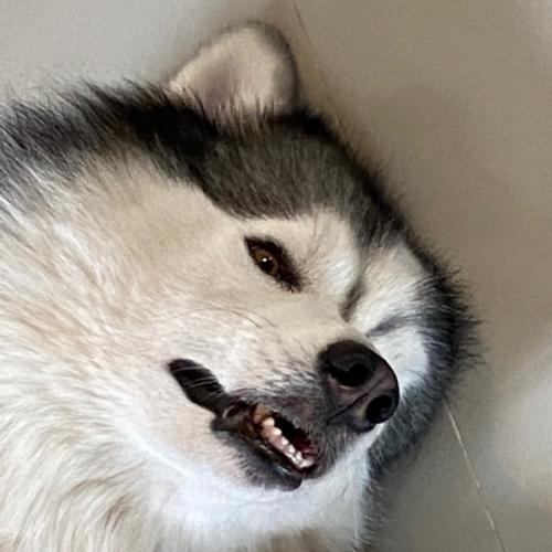 สมาชิกหมายเลข 7963888