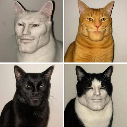 สมาชิกหมายเลข 4315927