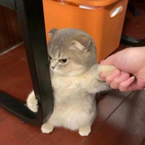 สมาชิกหมายเลข 6604202