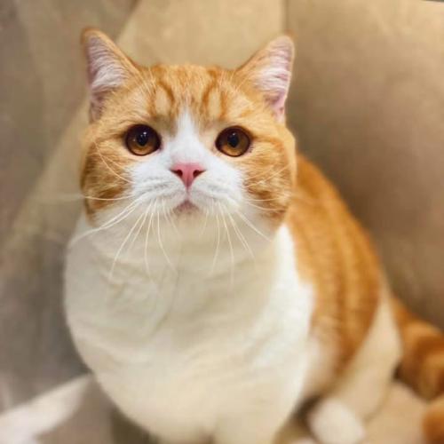 สมาชิกหมายเลข 8967269