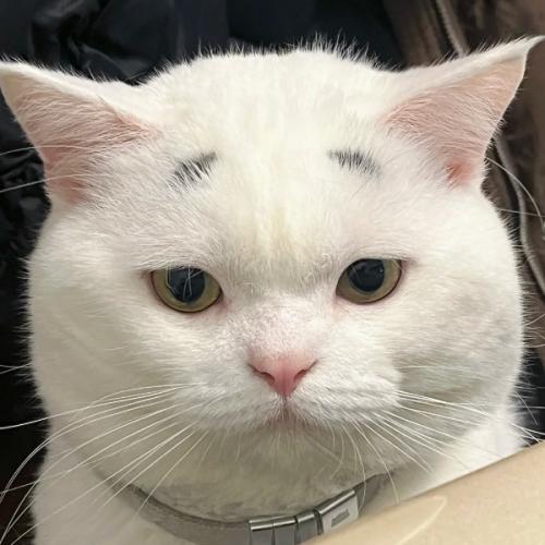 สมาชิกหมายเลข 8989762