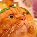 สมาชิกหมายเลข 3765356