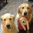 สมาชิกหมายเลข 4229585