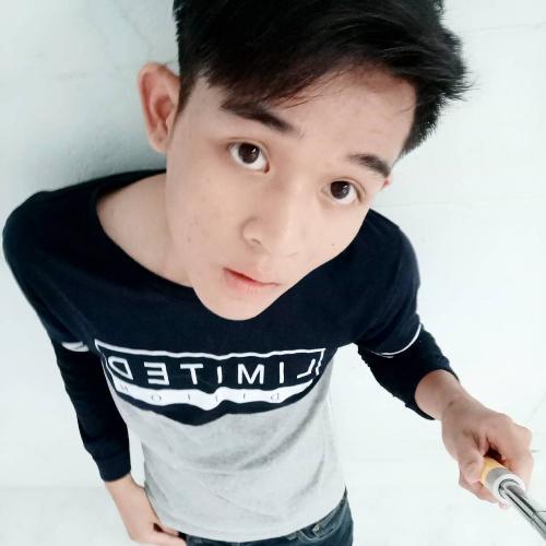 สมาชิกหมายเลข 4305285