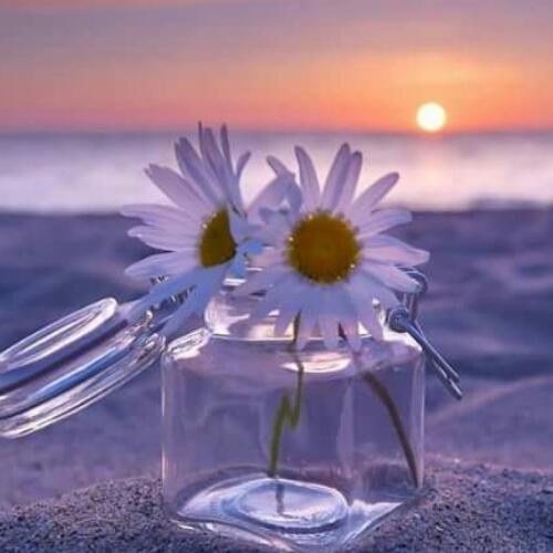 สมาชิกหมายเลข 4620345