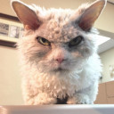 สมาชิกหมายเลข 1177754