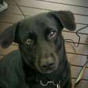 สมาชิกหมายเลข 3306979