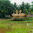 สมาชิกหมายเลข 5371065