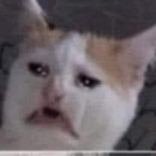 สมาชิกหมายเลข 3040680