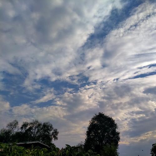 สมาชิกหมายเลข 5000435