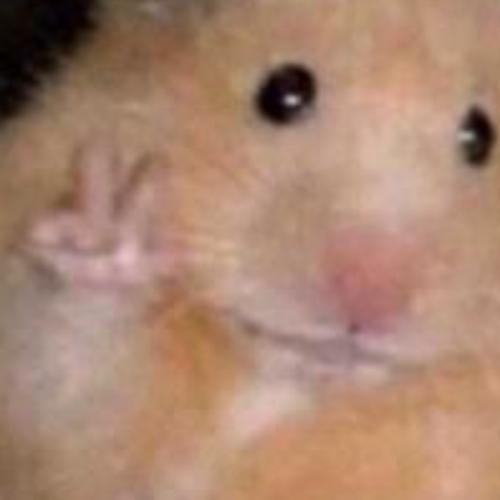 สมาชิกหมายเลข 6464028