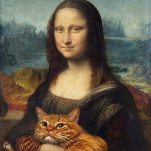 สมาชิกหมายเลข 6738386