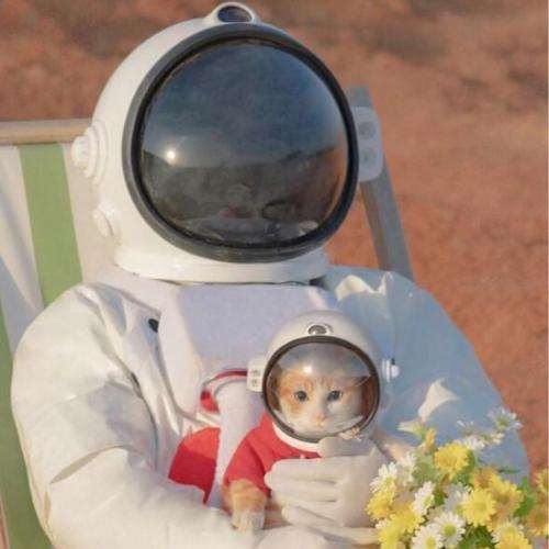 สมาชิกหมายเลข 7167687