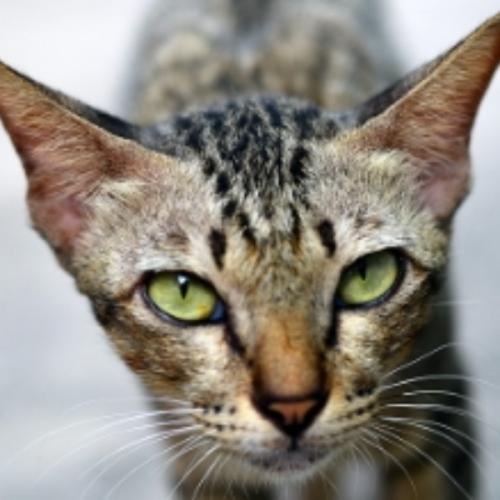 สมาชิกหมายเลข 7963808