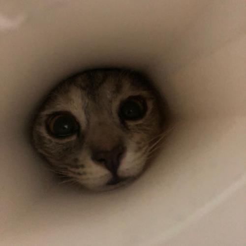 สมาชิกหมายเลข 7964919