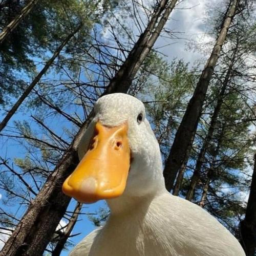 สมาชิกหมายเลข 8664126