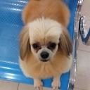 สมาชิกหมายเลข 4222812