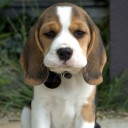 สมาชิกหมายเลข 4230034