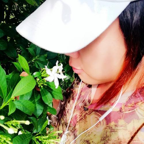 สมาชิกหมายเลข 2135388