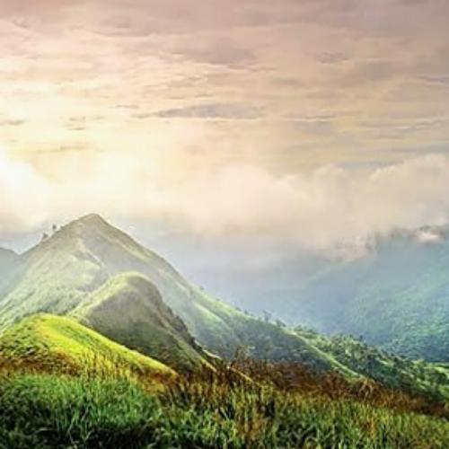 สมาชิกหมายเลข 4976842