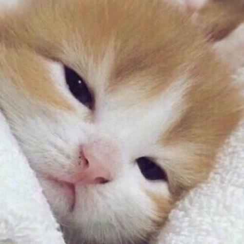 สมาชิกหมายเลข 4843557