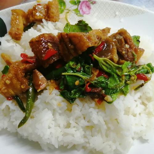 สมาชิกหมายเลข 5371996