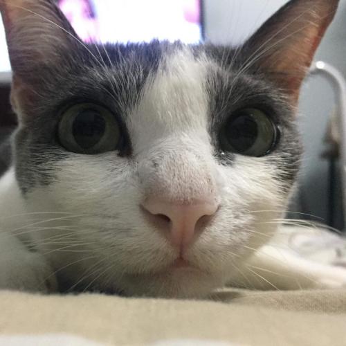 สมาชิกหมายเลข 862860