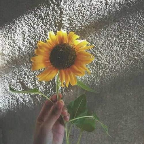 สมาชิกหมายเลข 4156623