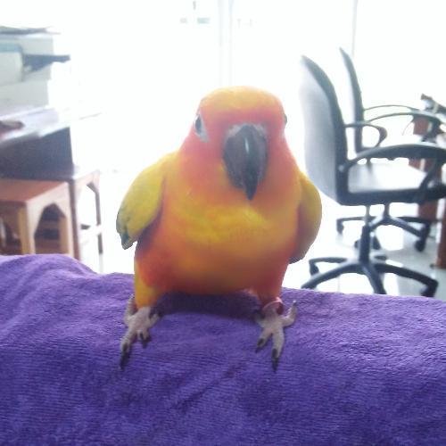 สมาชิกหมายเลข 5858902