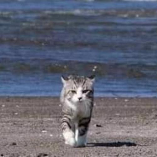 สมาชิกหมายเลข 5863883