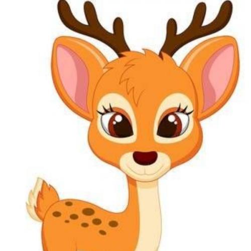 สมาชิกหมายเลข 6464726