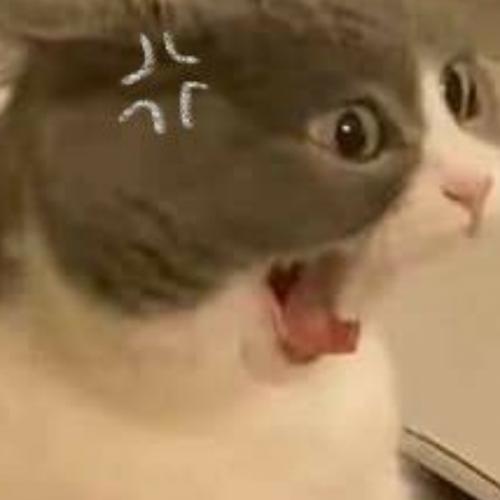 สมาชิกหมายเลข 6465061