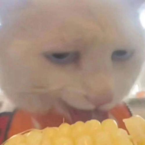 สมาชิกหมายเลข 7965639