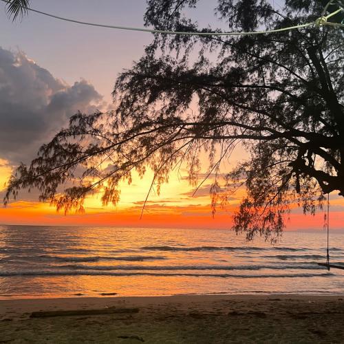 สมาชิกหมายเลข 7965770