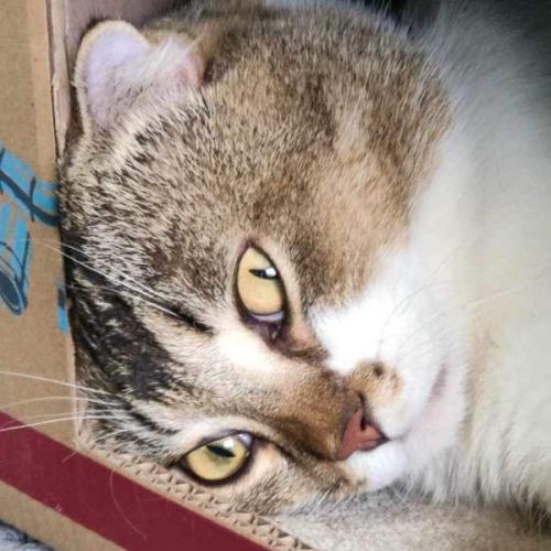 สมาชิกหมายเลข 7966159