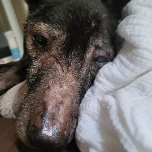 สมาชิกหมายเลข 1203152