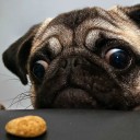 สมาชิกหมายเลข 3766376