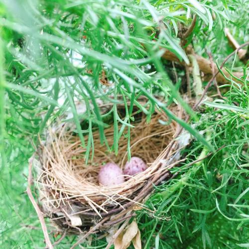 สมาชิกหมายเลข 3003155