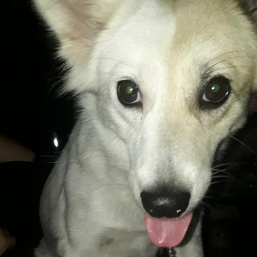 สมาชิกหมายเลข 4621246