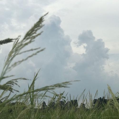 สมาชิกหมายเลข 1080936