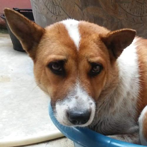 สมาชิกหมายเลข 2287221