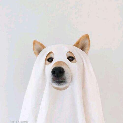 สมาชิกหมายเลข 3824172