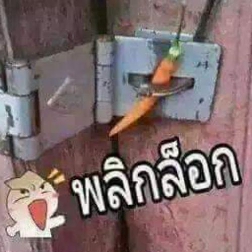 สมาชิกหมายเลข 5125070