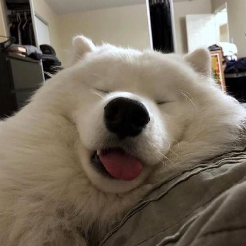 สมาชิกหมายเลข 5864933