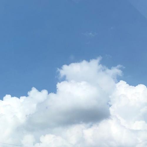 สมาชิกหมายเลข 4999870