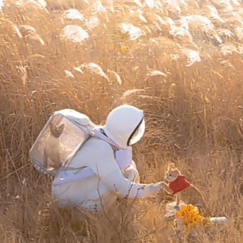 สมาชิกหมายเลข 6465615