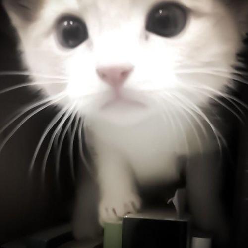 สมาชิกหมายเลข 7787147