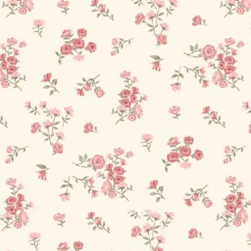 สมาชิกหมายเลข 7904549